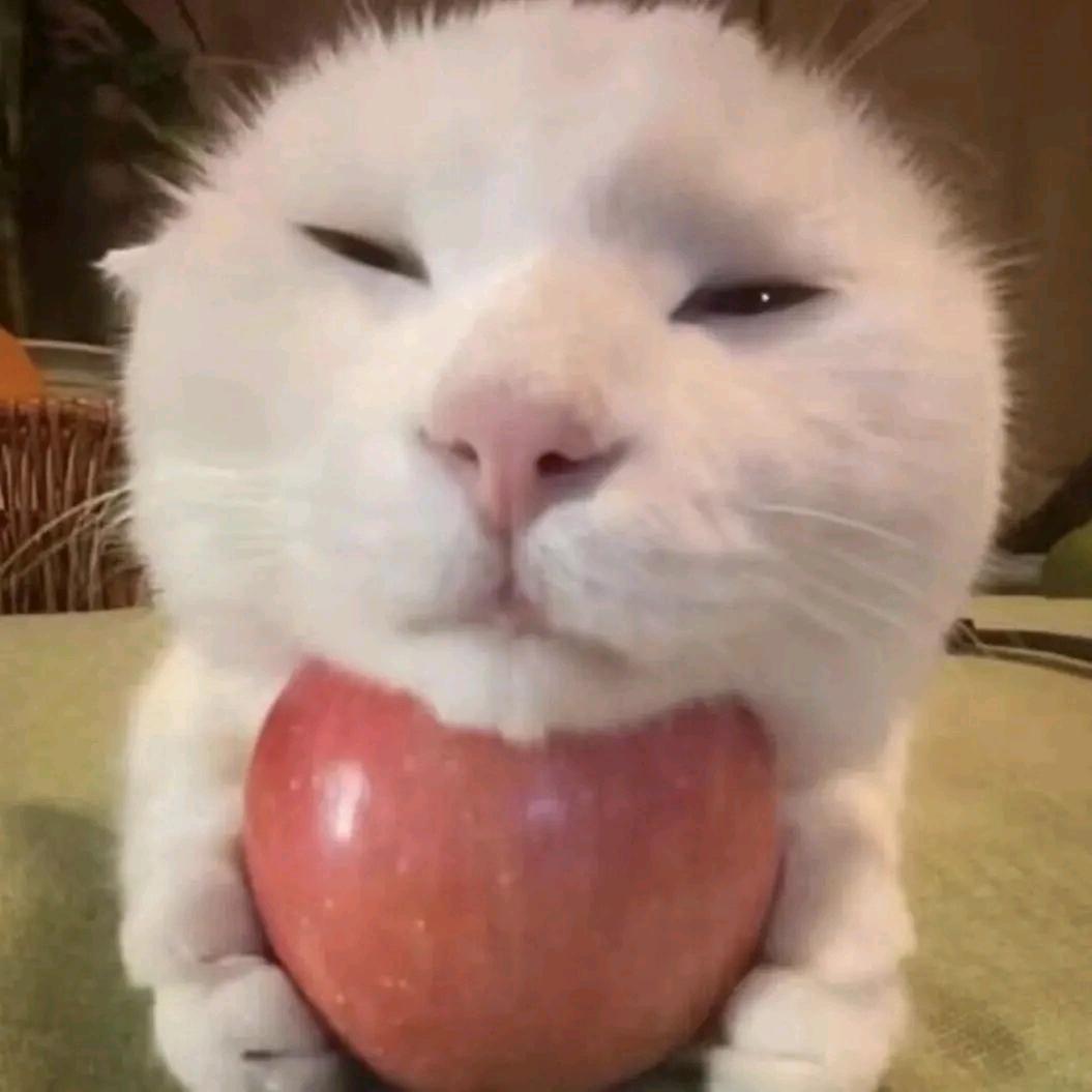 乌冬鱼