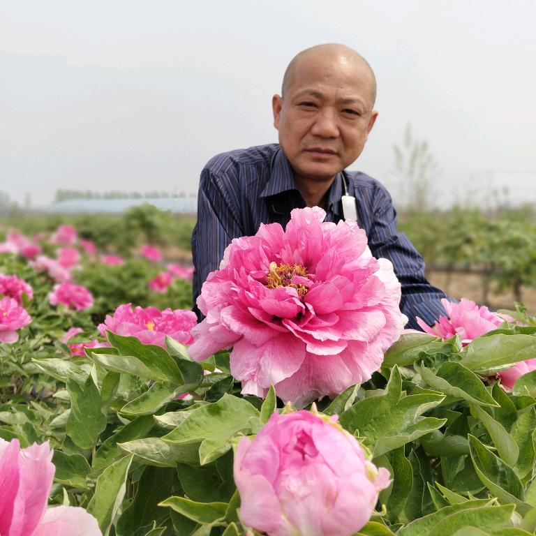 心想事成，