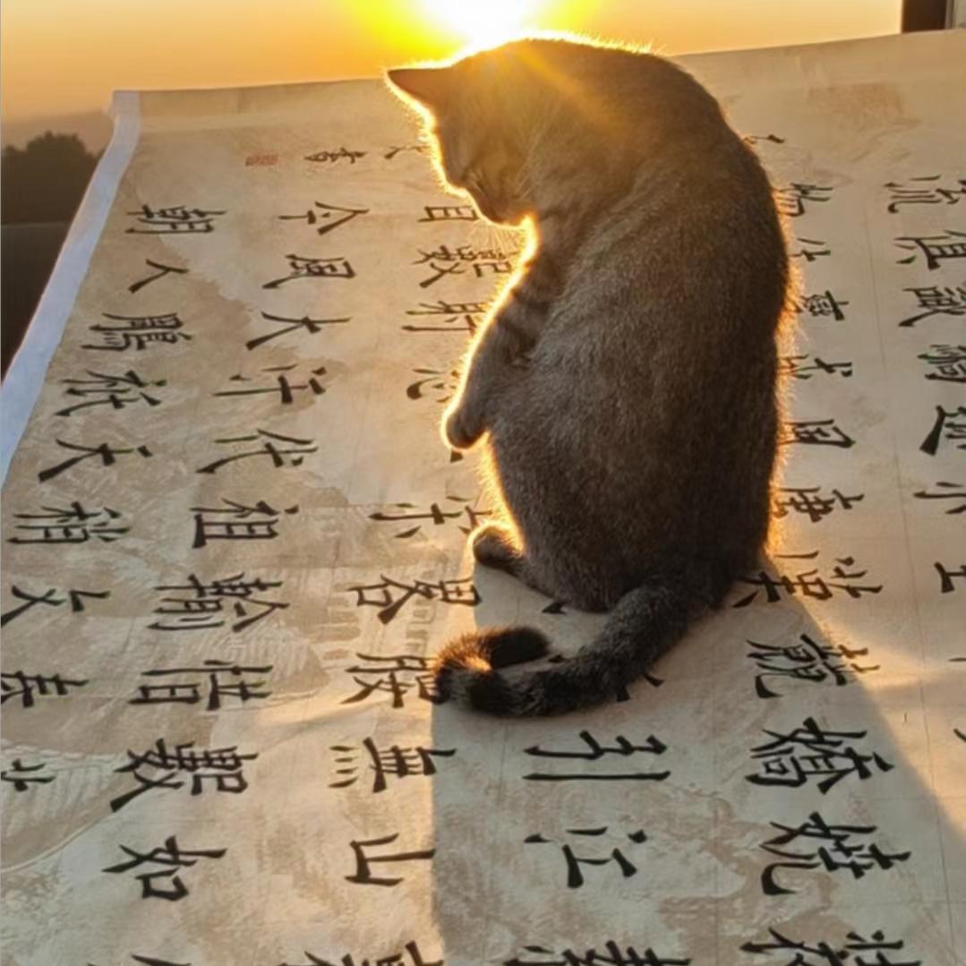 爱笑女孩