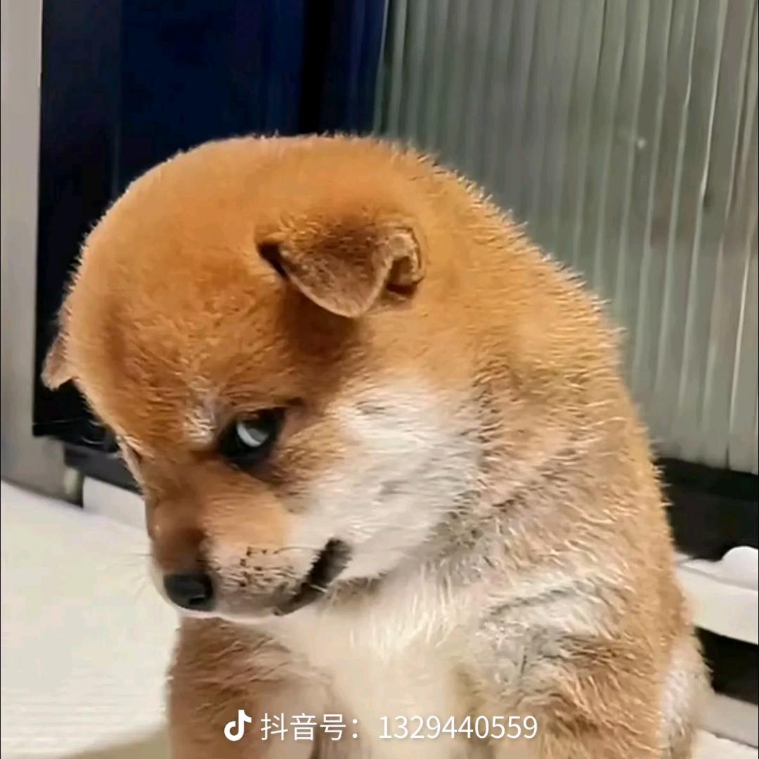 还记得