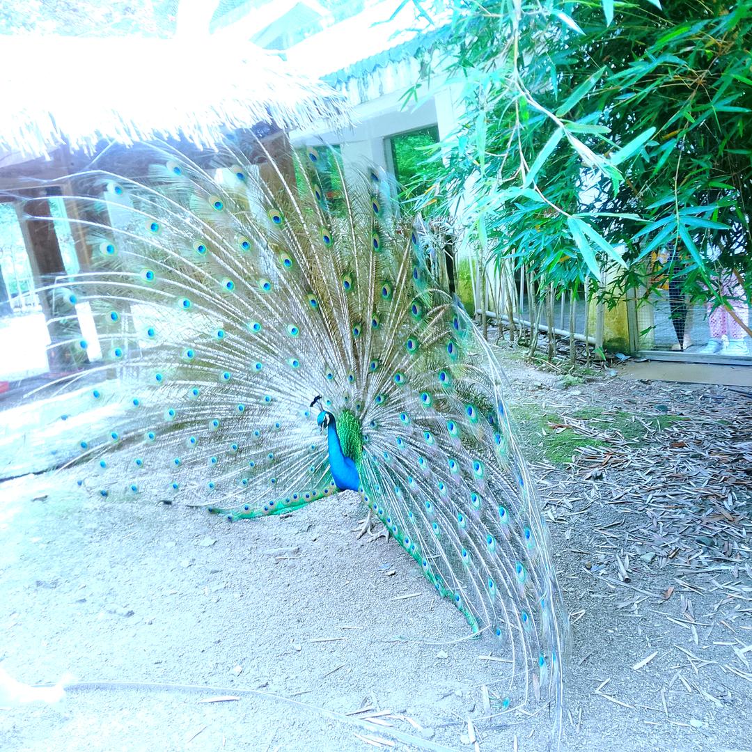 走遍江湖