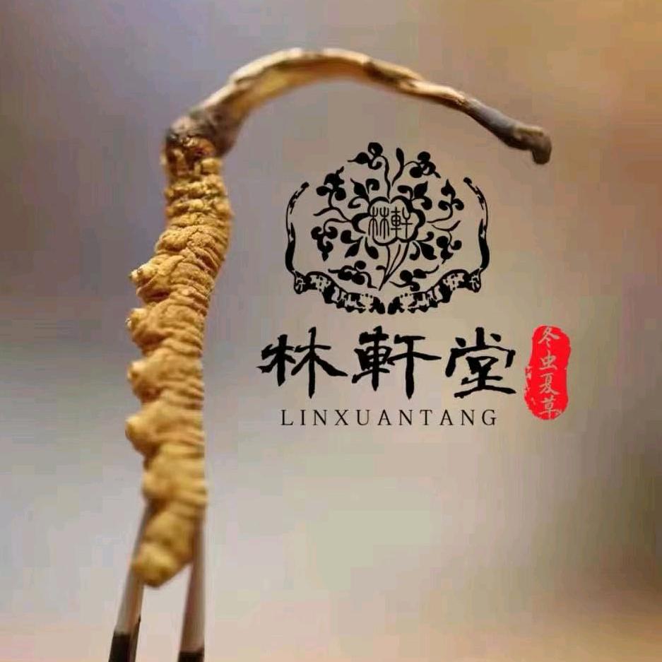 林轩堂｜冬虫夏草