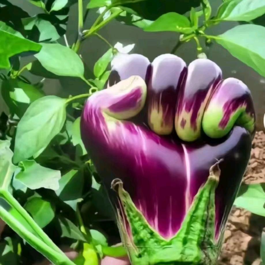 芹姐