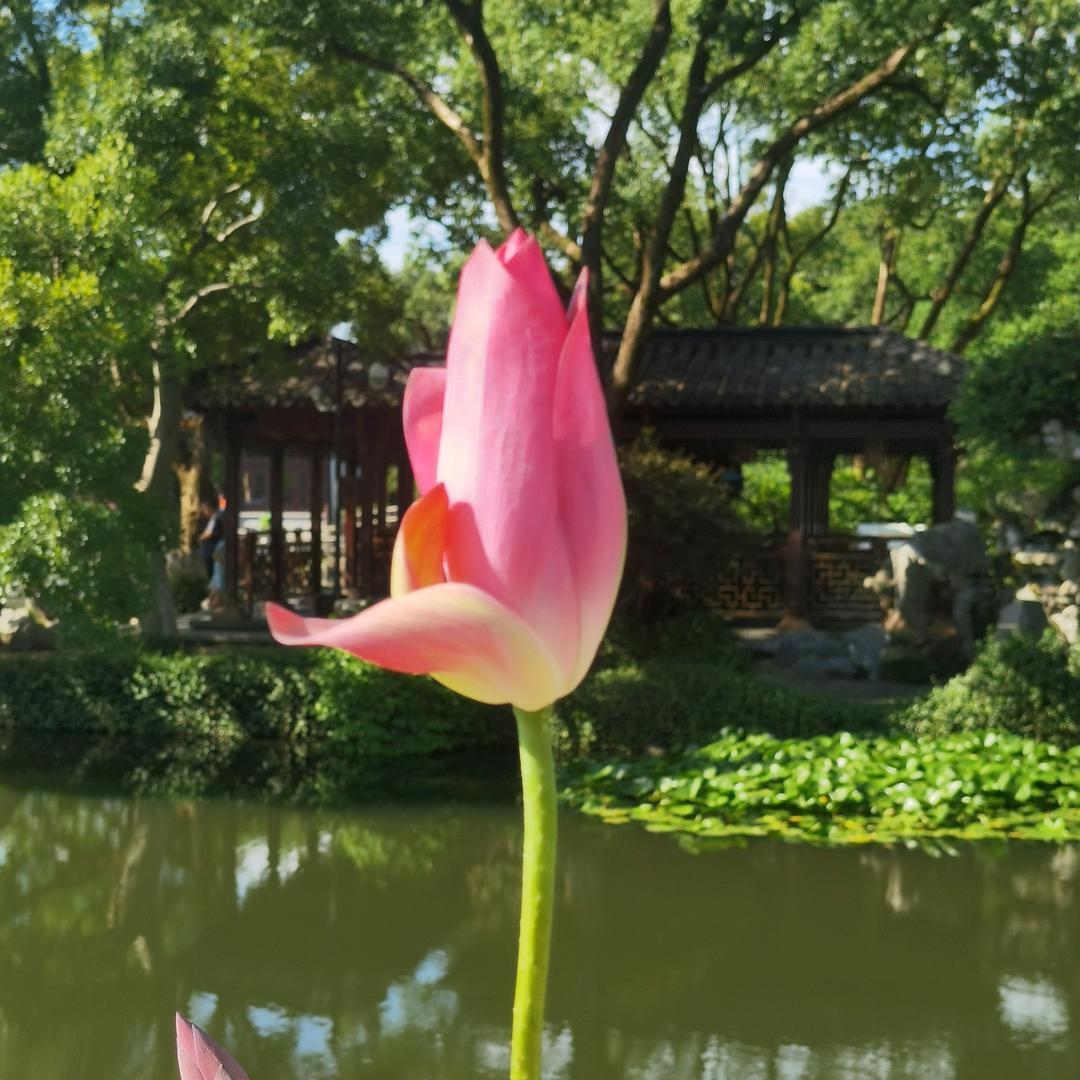 聚特优选