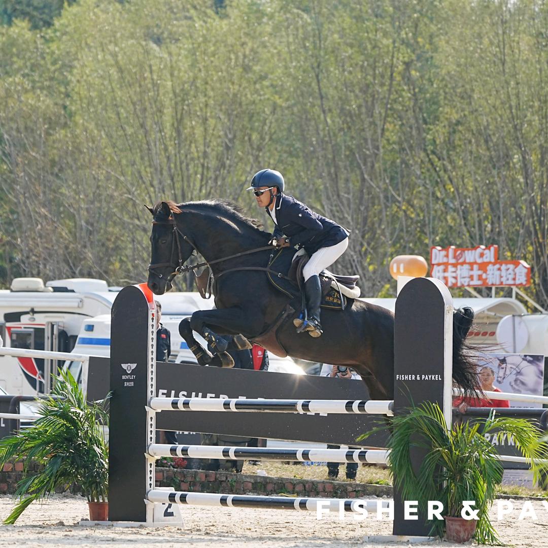 阿拉德日图 -主营  调教年轻竞技运动马