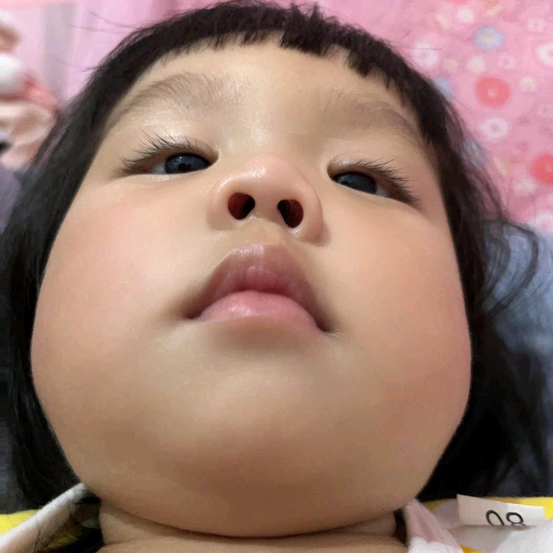 空中飞舞的屁💨