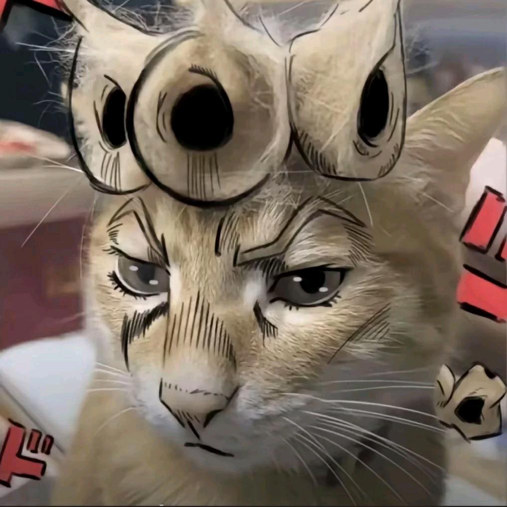 本