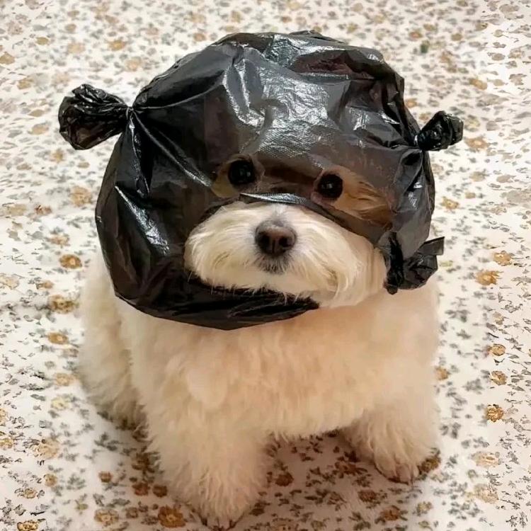 红香火蕉龙果昔