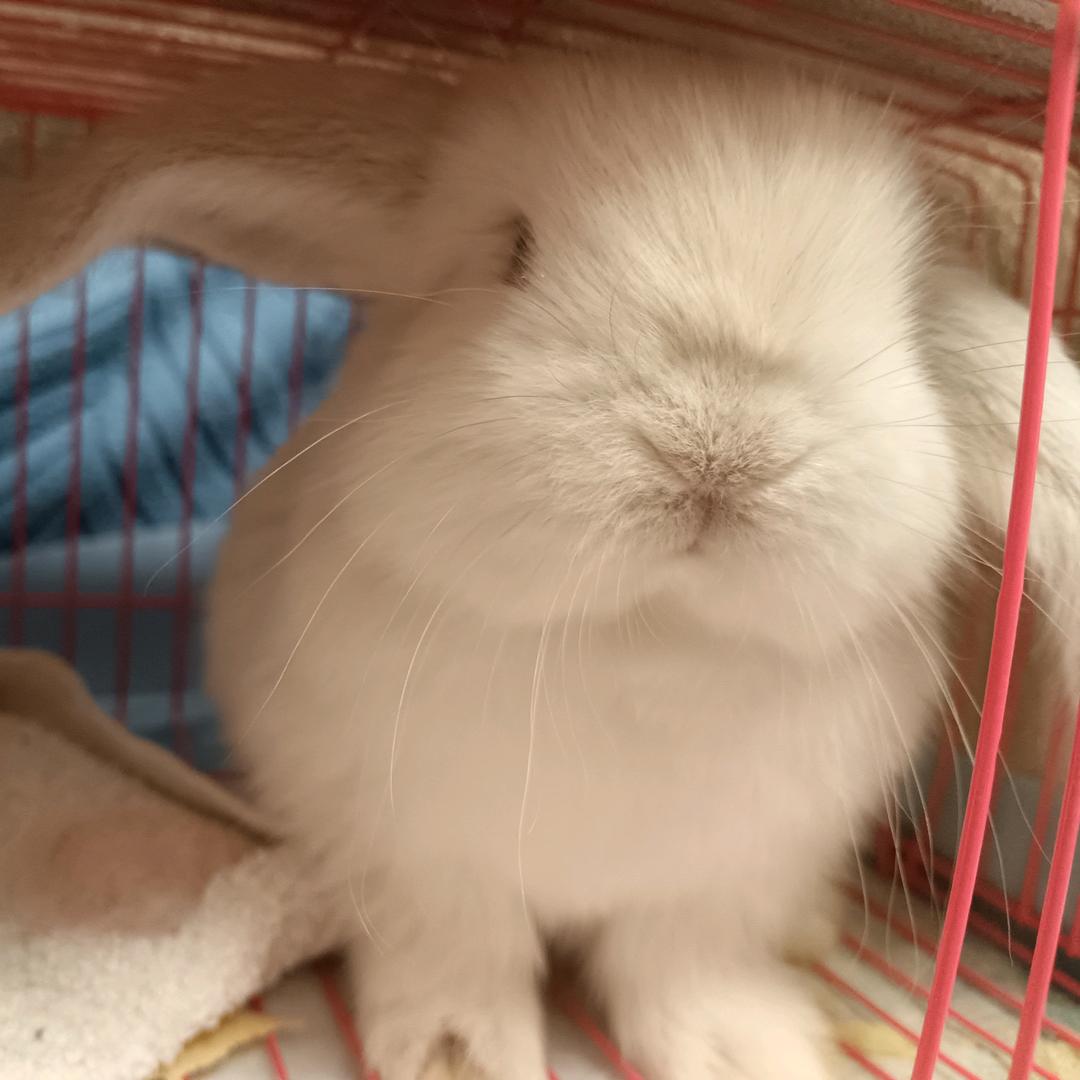 噎勐㼆