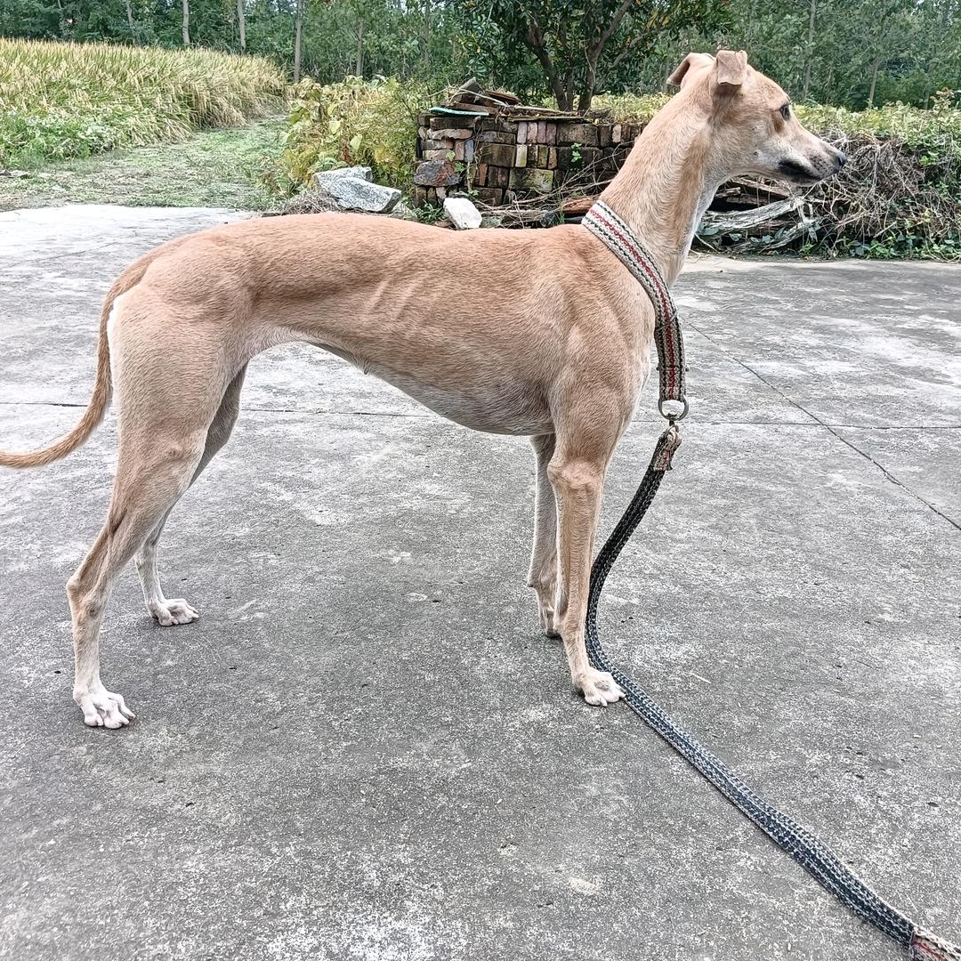 夜生活户外个体店(2）