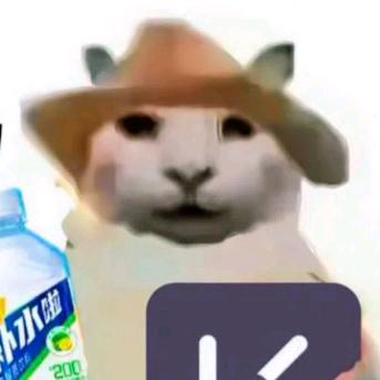 800不达三级不改名