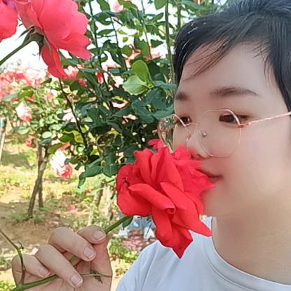 🌹🌹海燕🌹🌹
