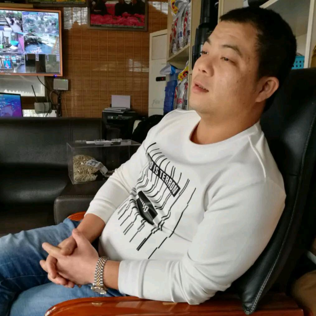 销售中高端锦鲤，设计花园，鱼池 过滤系统