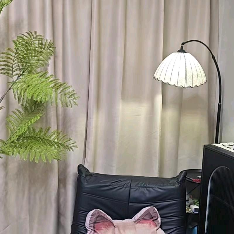 佳佳+