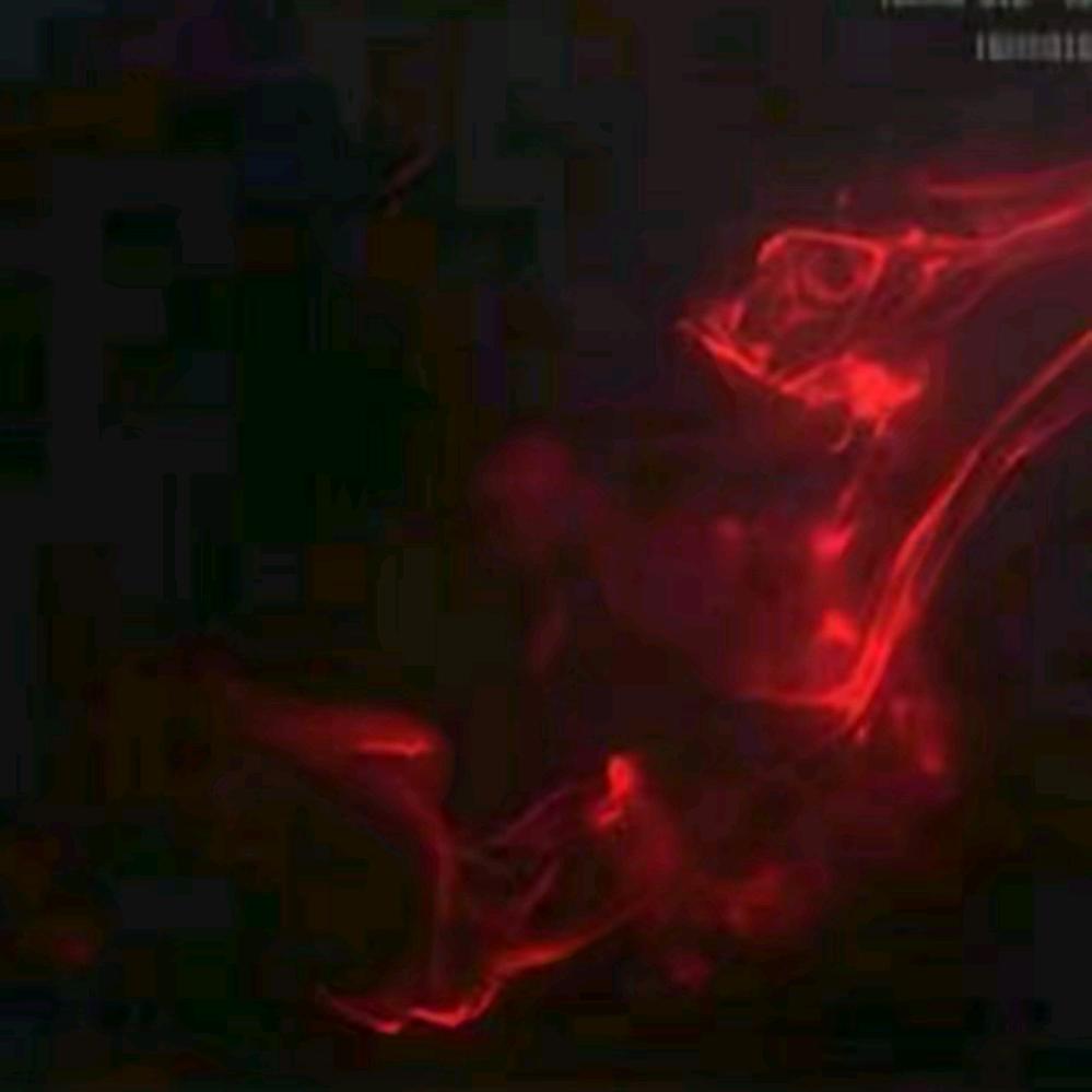 秦彻