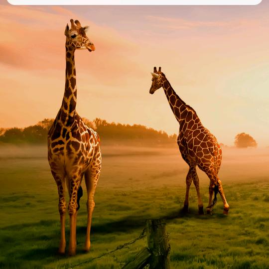 爱时尚的小女孩