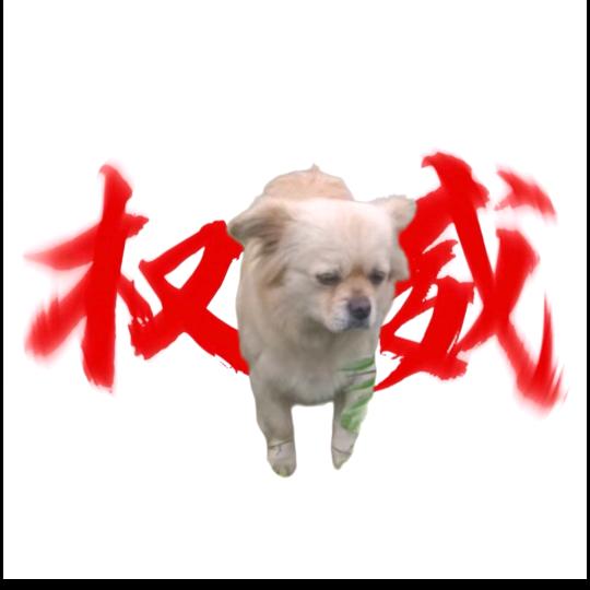 霸道阿贝贝