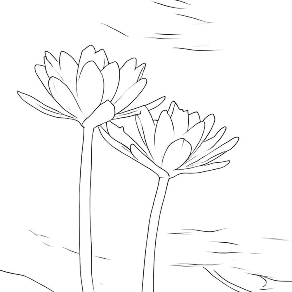 菩堤✌(̿▀̿ ̿Ĺ̯̿̿▀̿ ̿)✌