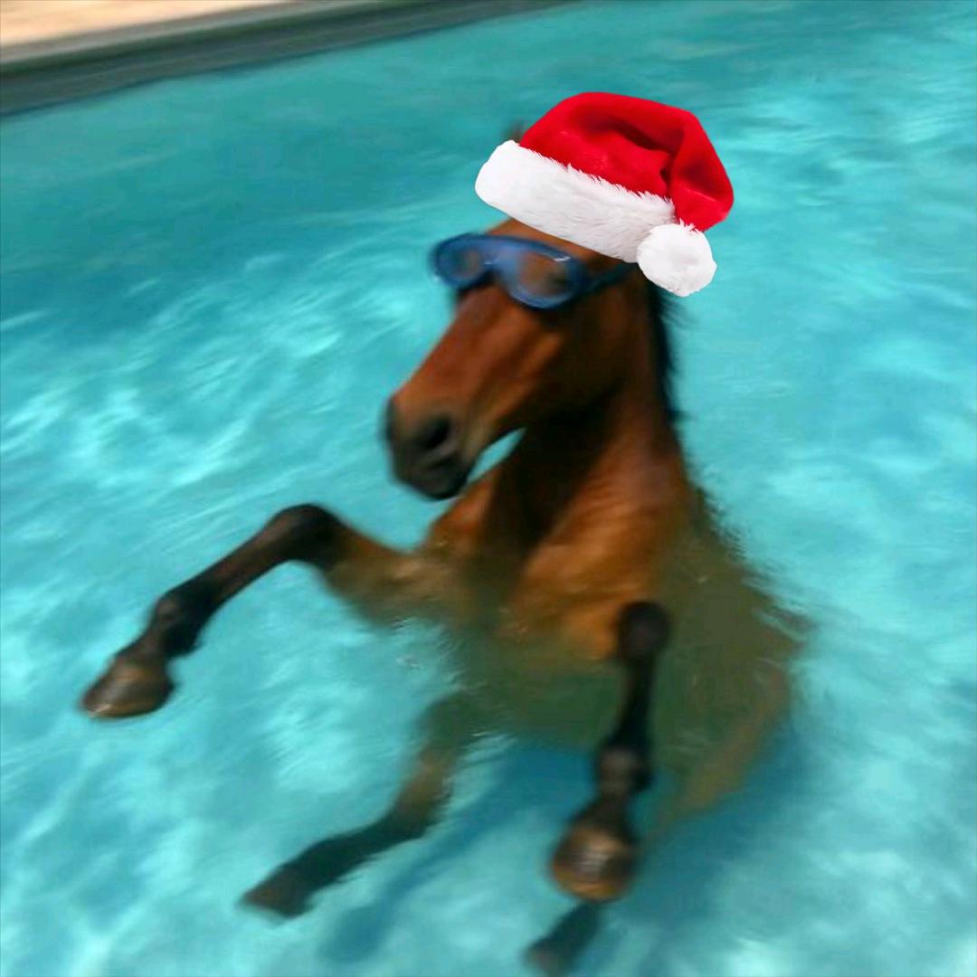 🌈取个什么名字