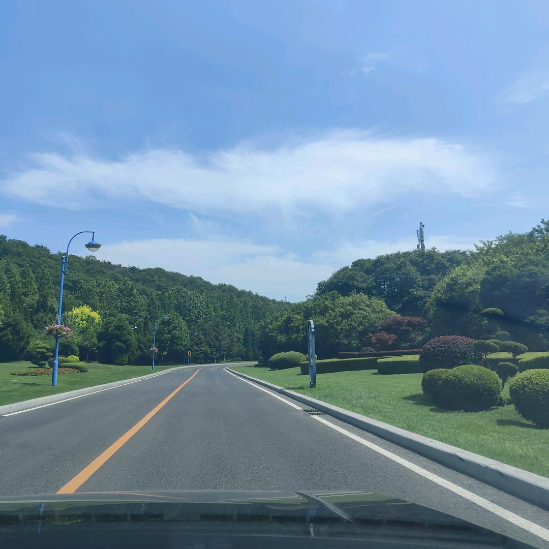 林林