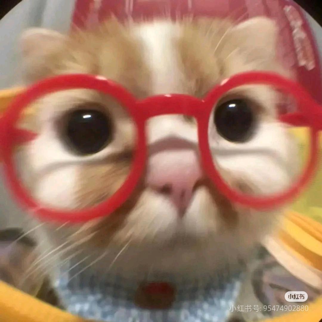 同心圆