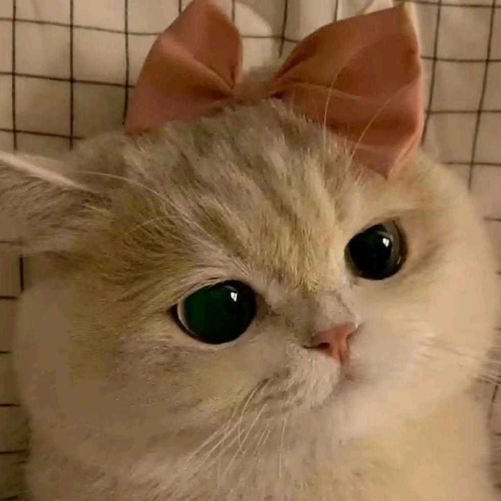 👿