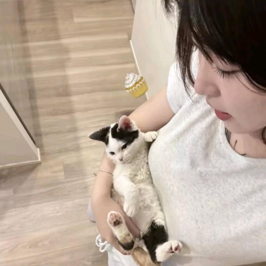 素菜