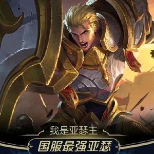 老杨亚瑟王