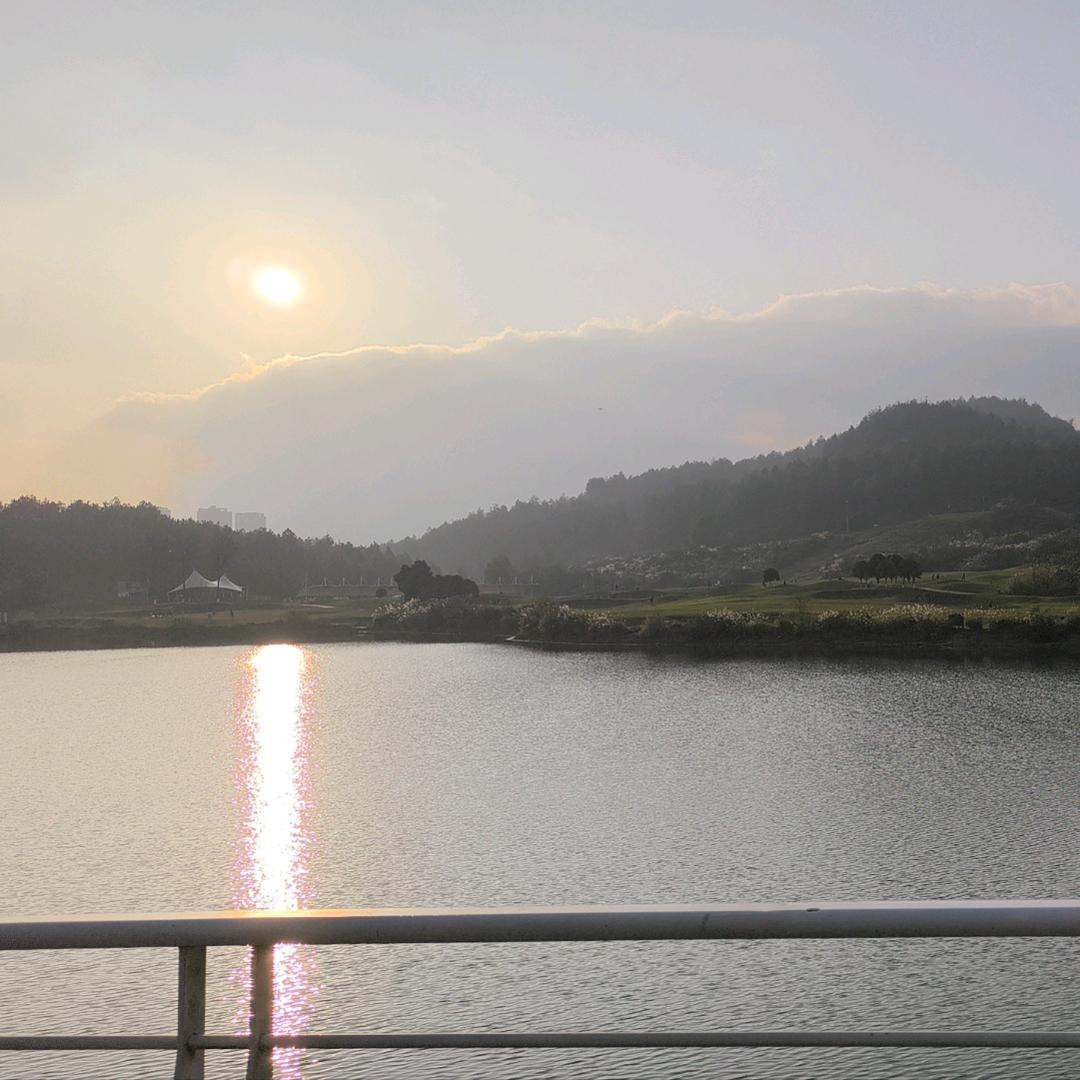 用户53208309606668