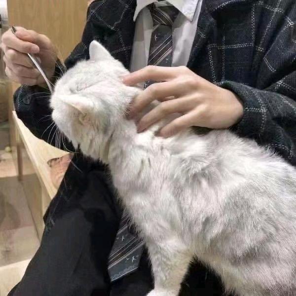 可_乐要加冰