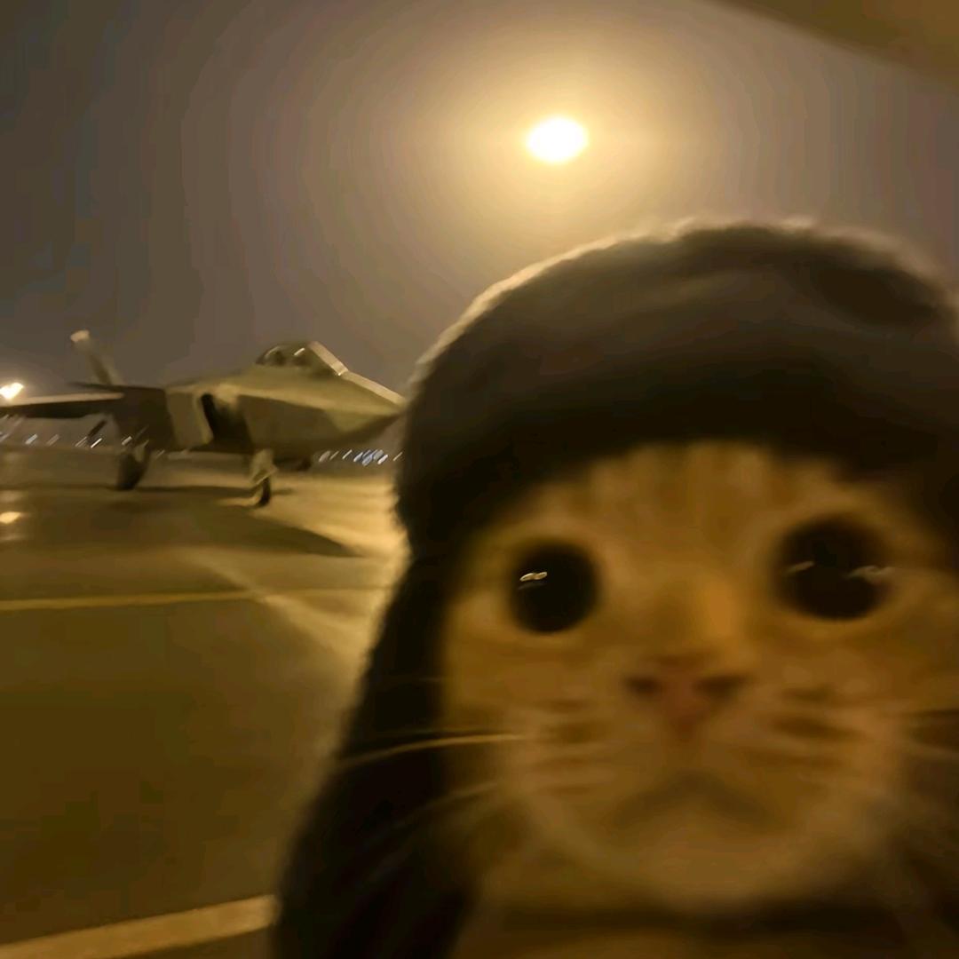 于舟