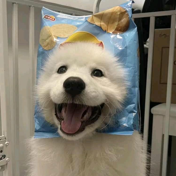 我叫耶耶