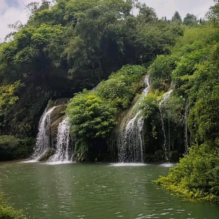 野性稳江山