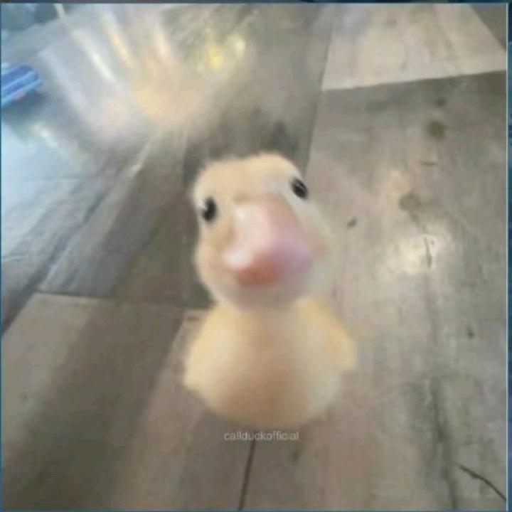 爱