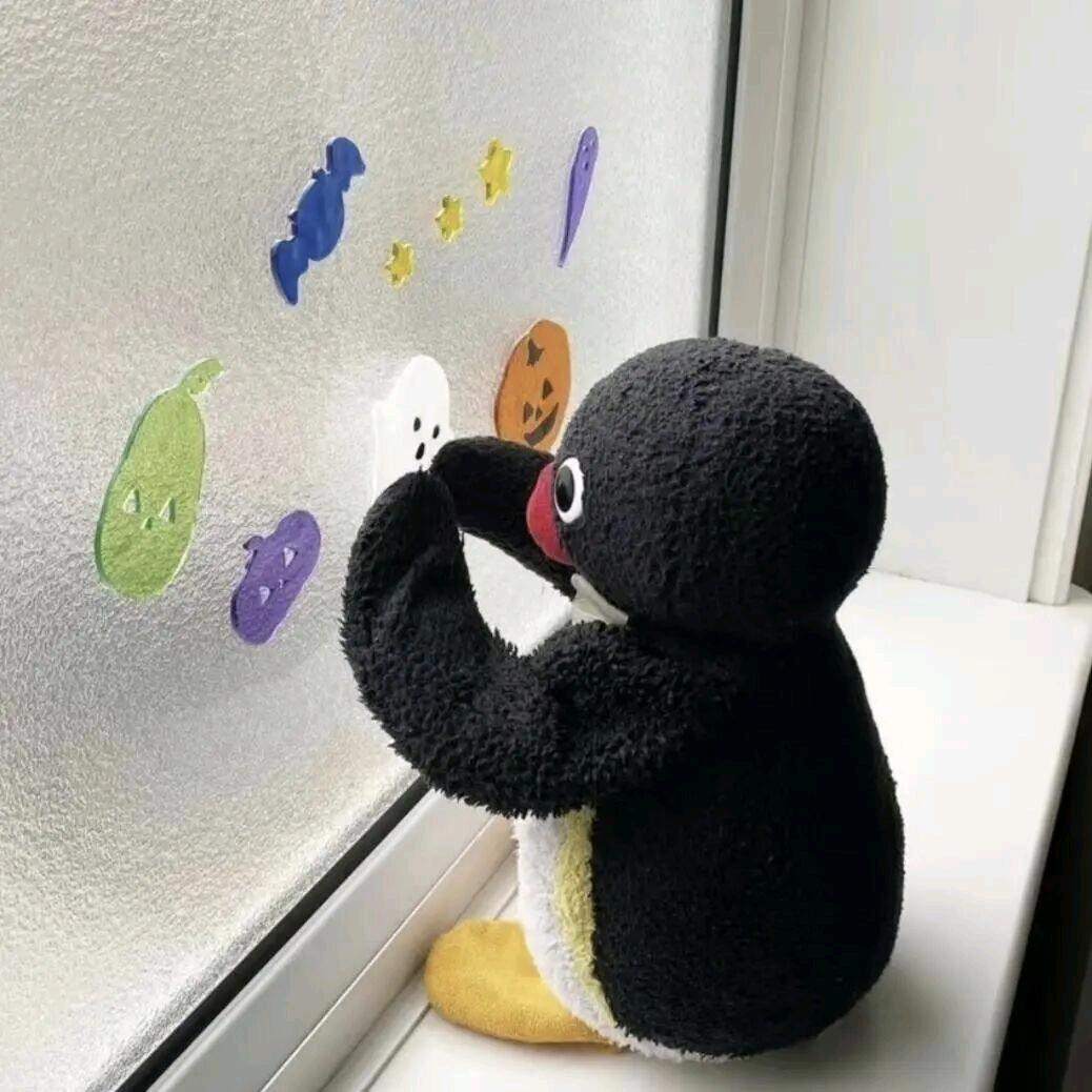 很内向的人