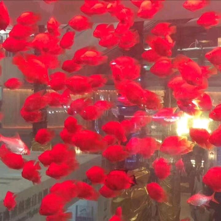 不赌为赢