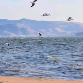 银河间