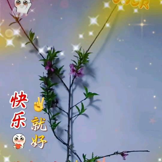 范姐🌸