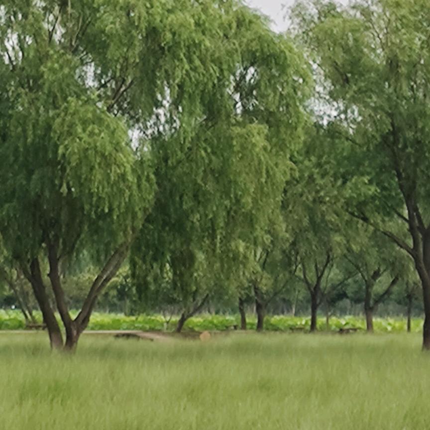 开心ξ( ✿＞◡❛)