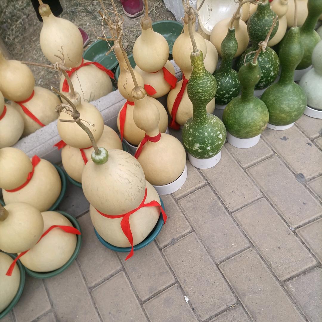 请叫我小5