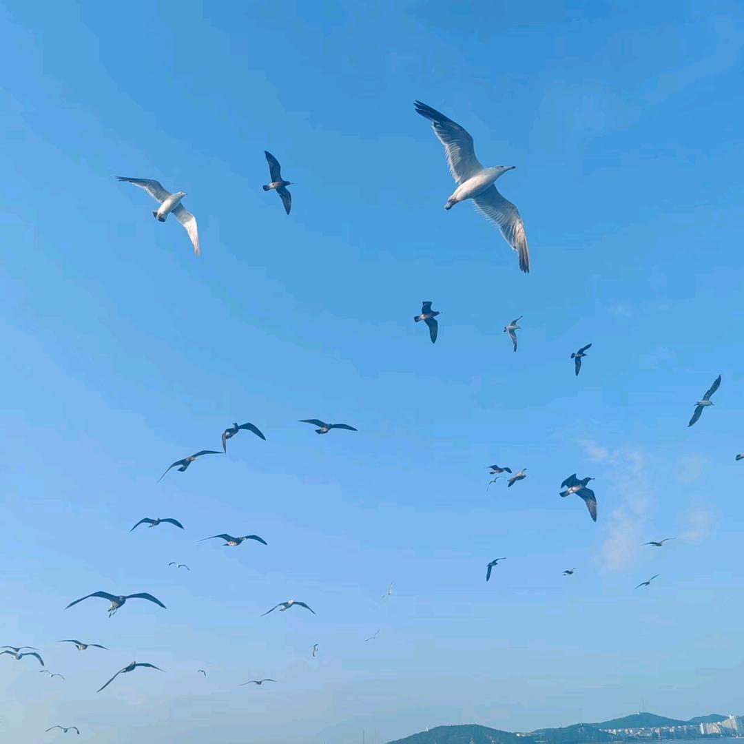 明媚