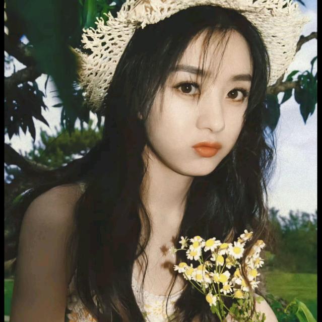 不提供中译中头像