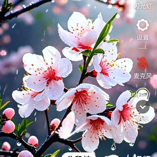 冷小青拒绝私聊