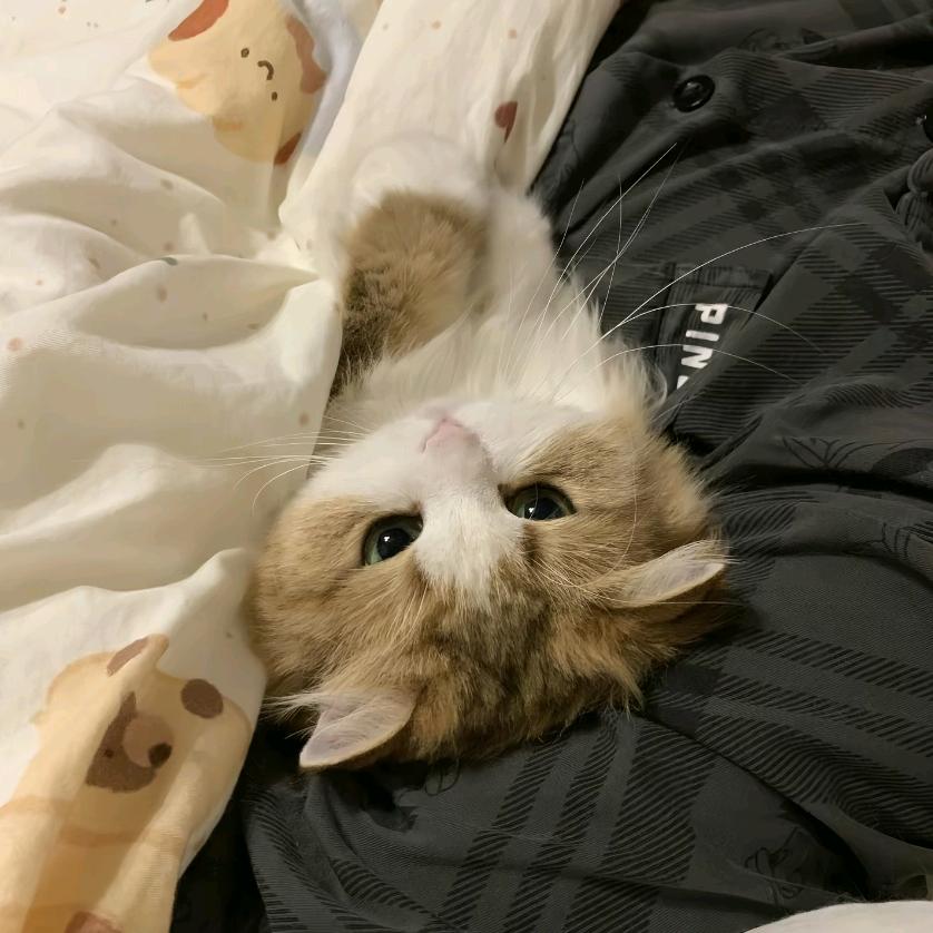 什么好事都让我赶上