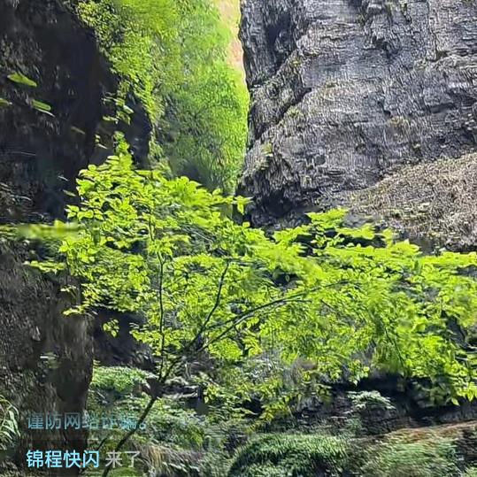 记得我