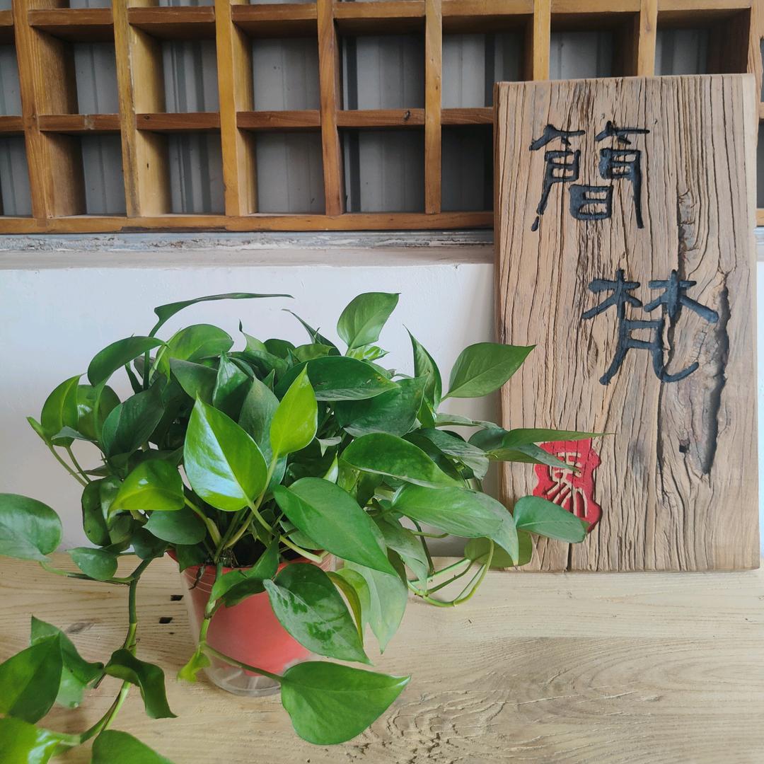 琪奥老榆木家具厂家