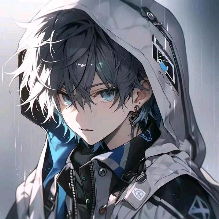天线宝宝