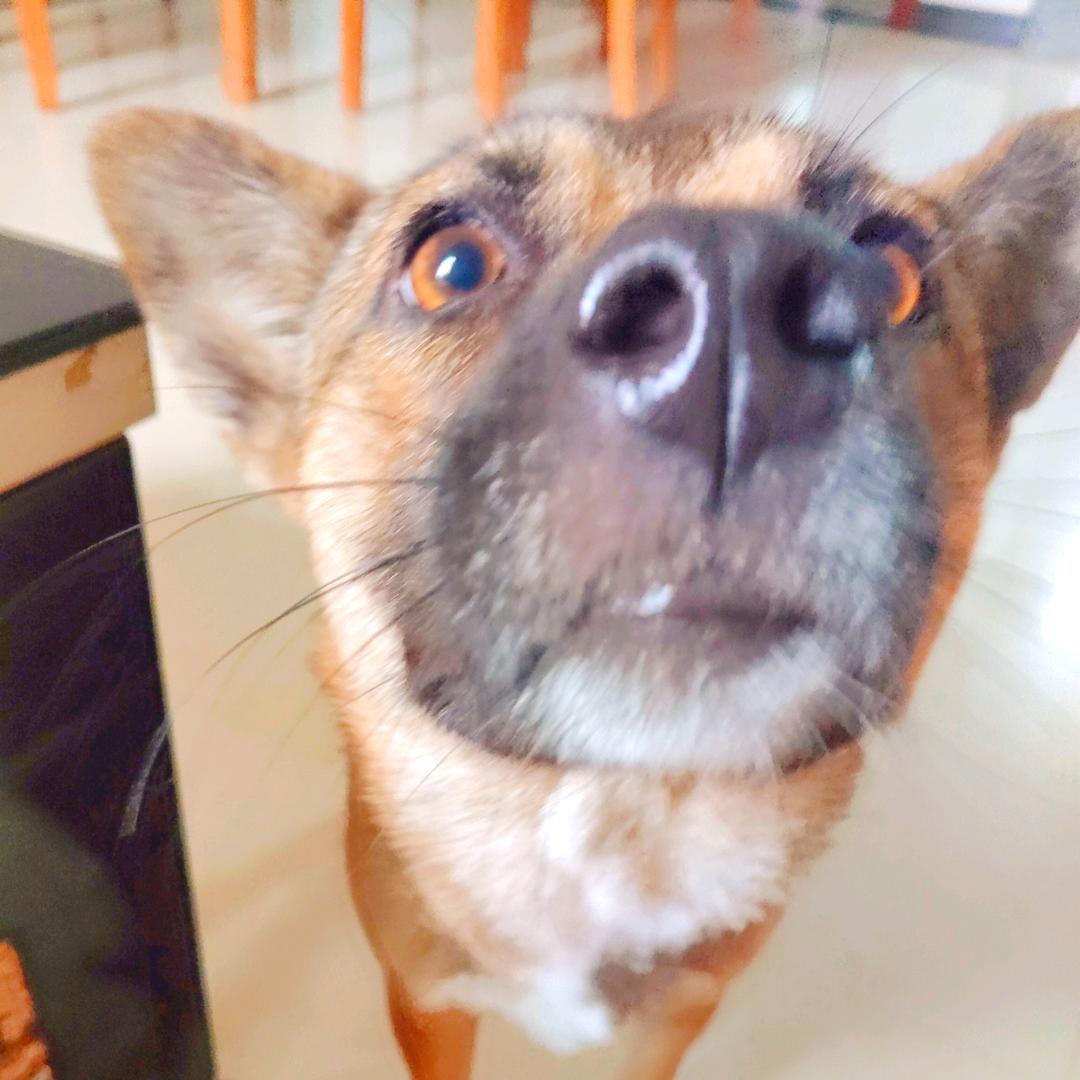 南波王@