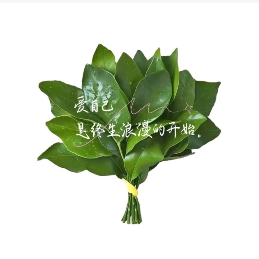 分享楠楠家的趣事