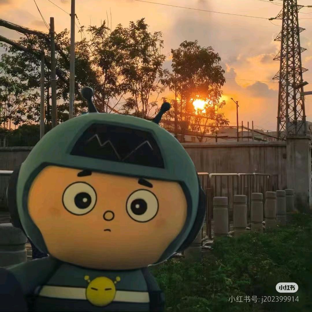 小小怪